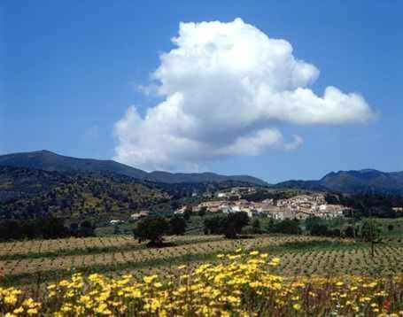 Casa rural alquiler íntegro Cal Sisco