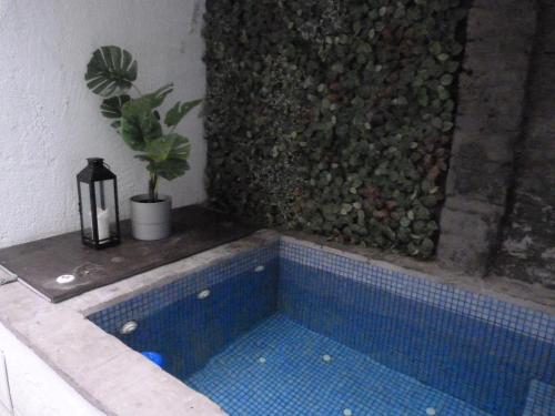 Pequeño Alojamiento con Mini Piscina - NO climatizada 2