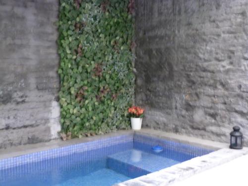 Pequeno Alojamiento con Mini Piscina - NO climatizada 5
