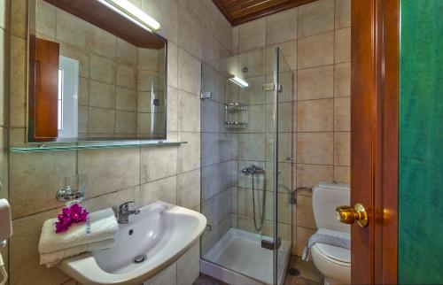 Hotel Castle Suites - image 10