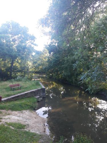 AU COEUR DU MARAIS