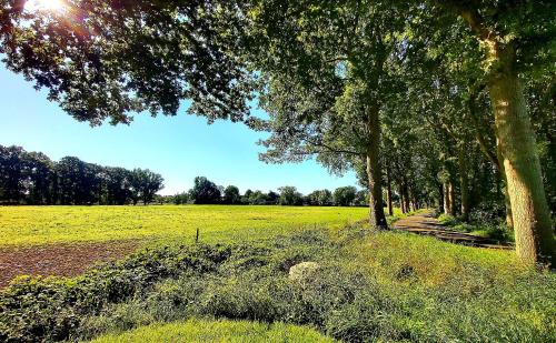 Logeerboerderijtje De Rietkap Gieten