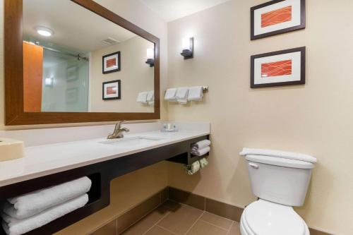 Comfort Inn & Suites Macon West