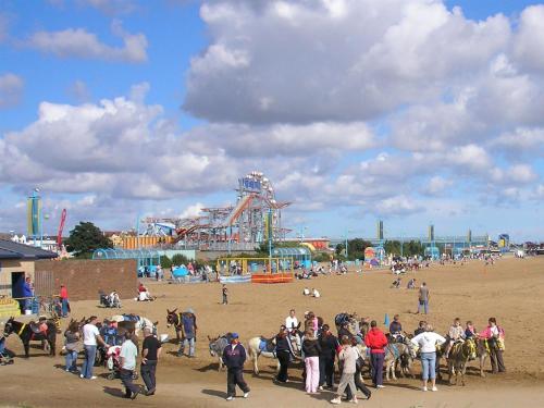 The Aldor - image 8