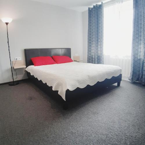 Смарт-хаб Apartment in Center, Rivne (foto 5)