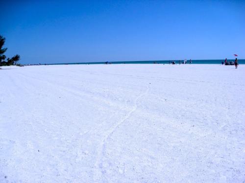 Anna Maria Island Beach Sands 101