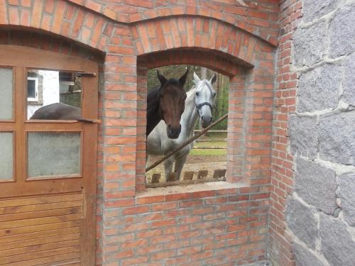 Jāšana, Lesniczowka Jednorozec in Lipowo Kurkowskie