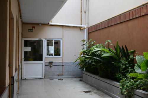 บริการและสิ่งอำนวยความสะดวก, Hotel Santa Cruz in ฟลอเรส