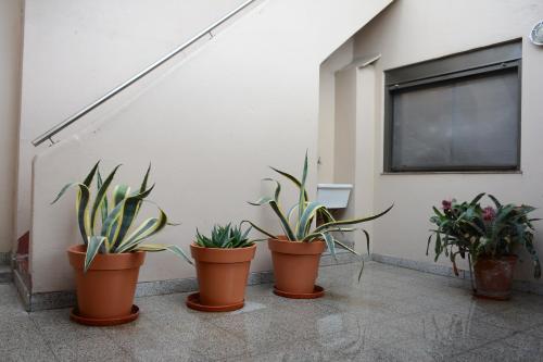 บริการและสิ่งอำนวยความสะดวก, Hotel Santa Cruz in ฟลอเรส