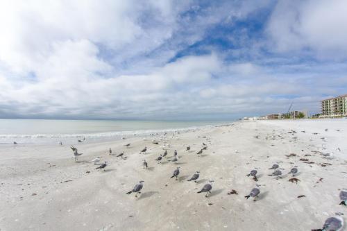 240 Surf Song Resort - image 2