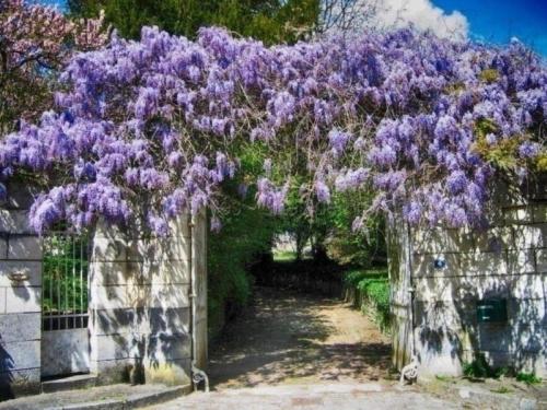Gîte Sainte-Maure-de-Touraine, 7 pièces, 12 personnes - FR-1-381-414 gîte à louer Draché