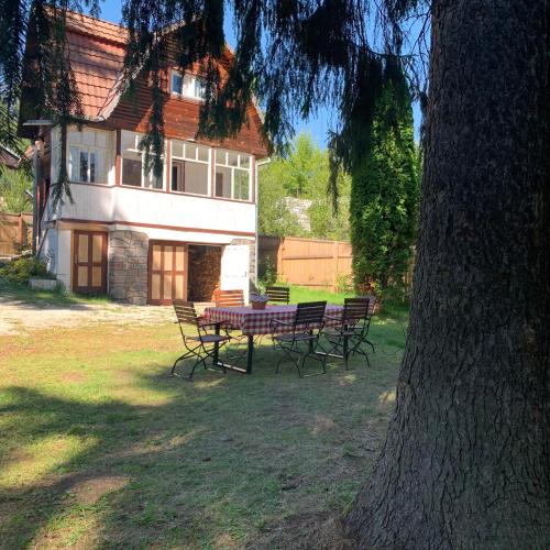 Cabana Munte la Izvoru Muresului - Apartment - Izvoru Mureşului