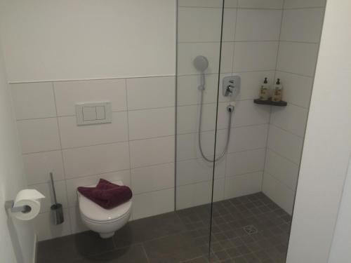 Bathroom, Zum Hirschen - hotel & gasthaus beim stockeler in Scheidegg