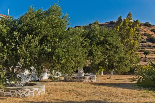 Olive Studios Karpathos Studio #2