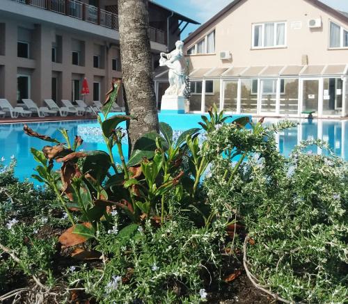 Water park, Oazis Wellness Panzio in Szigetszentmiklos