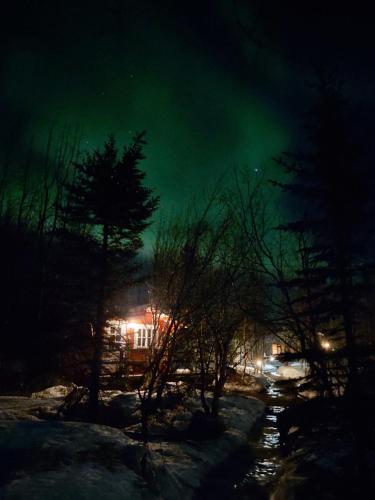 Bakkakot 2 - Cozy Cabins in the Woods in Husavik
