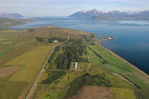 Surrounding environment, Bakkakot 2 - Cozy Cabins in the Woods in Husavik