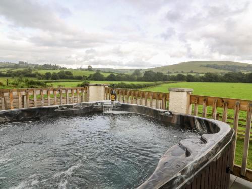 Lower Pentre - image 6