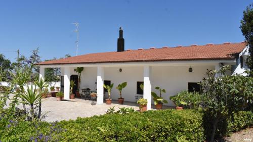 Villa Mistral - Bari Japigia gîte à louer Montrone