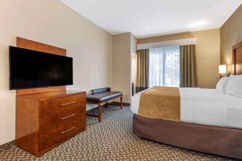 Comfort Suites Lufkin - image 5