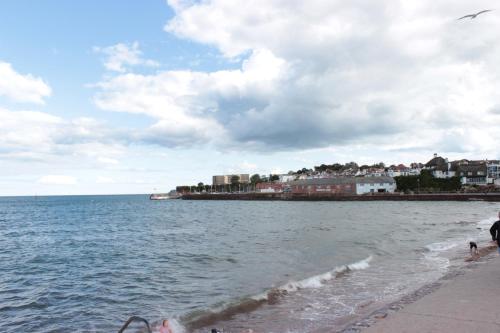 The P&M Paignton RESIDENCE - main image