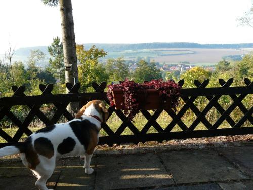 Europa-Feriendorf Husen in Lichtenau/Westfalen