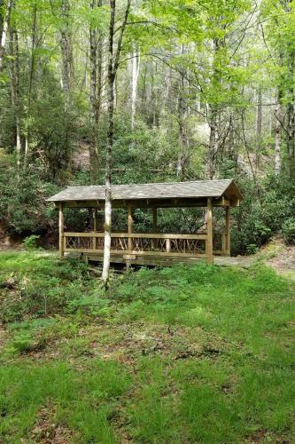 Hike, Fish and Relax Rural Craftsman in Glenville!