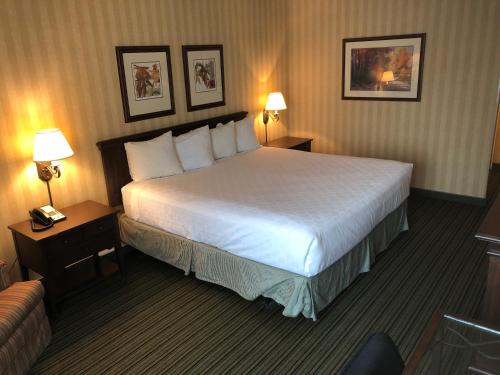 Gateway Hotel - image 7