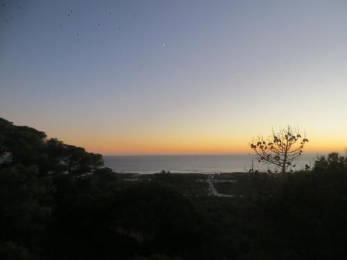 Caparica for Rent - image 7