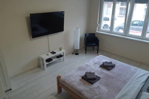 Apartman Mima, Белград (фото 9)