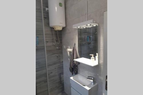 Apartman Mima, Белград (фото 10)
