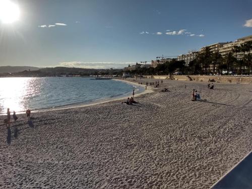 LE PIREE T2 PALM BEACH PLACE DE L ETANG