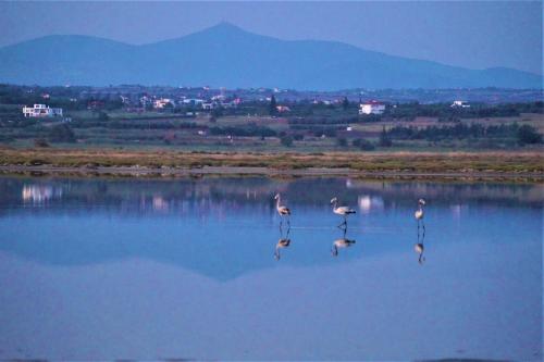  Infinite Blue, Horizon, Elegance, Hospitality in Epanomi