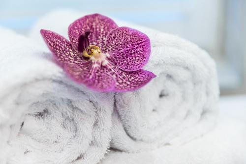 Noemiz Exclusive Apartments - main image