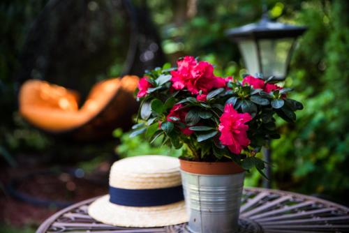 Noemiz Exclusive Apartments - image 2