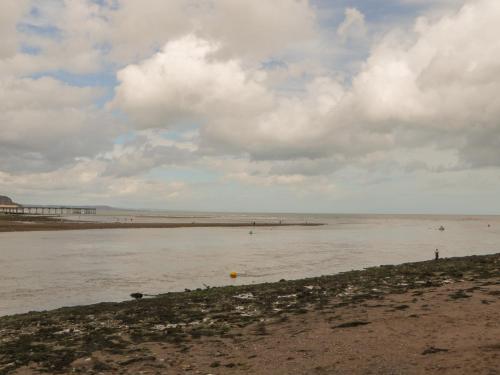 7 Horse Lane - image 6