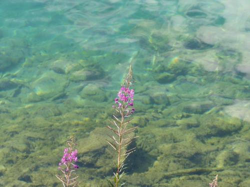 Haus Resi - image 5