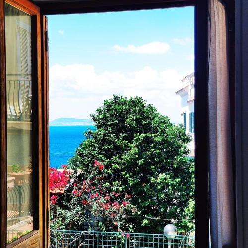 B&b Mediterranea – Meta, CO