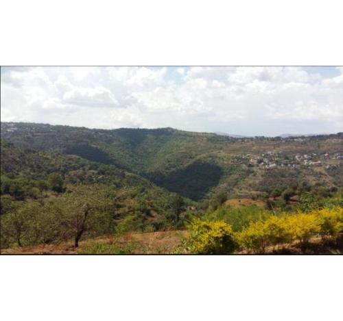 Valley View Bungalow 2BHK photo