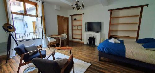 Studio très spacieux avec cour, en plein cœur de ville ! - Location saisonnière - Carcassonne