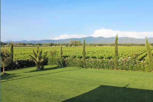 Agriturismo Ferruggini - image 7