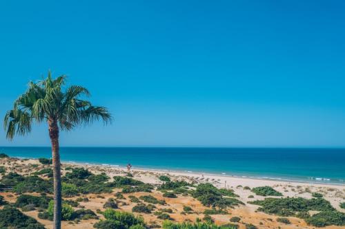 Iberostar Royal Andalus - image 11