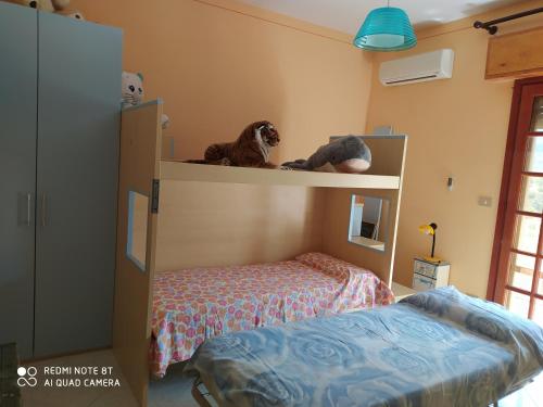 Casa vacanze a Serra Scirocco in 特拉比亞