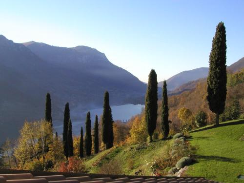 chalet in legno