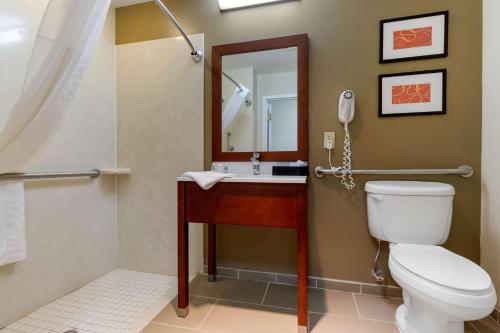 Comfort Inn & Suites Cordele - image 2