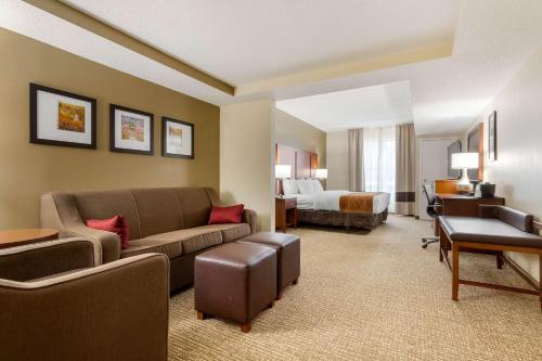 Comfort Inn & Suites Cordele - image 3