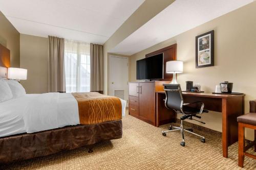 Comfort Inn & Suites Cordele - image 4