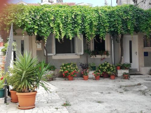 Studio Apartman Lenka, Сплит