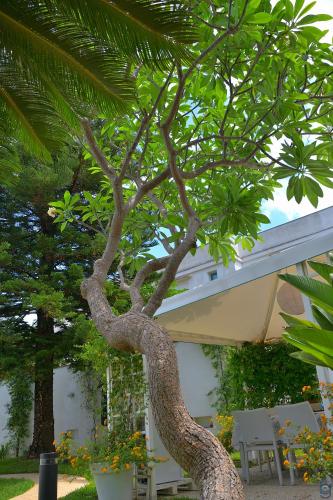 B&b Mondello Resort, Palermo (fotografie 11)