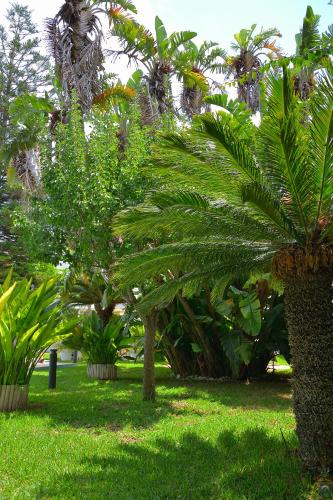 B&b Mondello Resort, Palermo (fotografie 10)